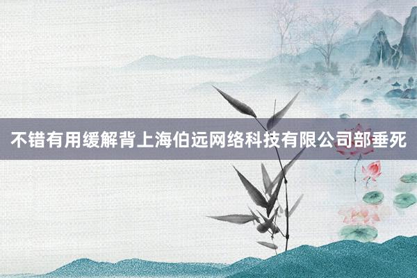 不错有用缓解背上海伯远网络科技有限公司部垂死